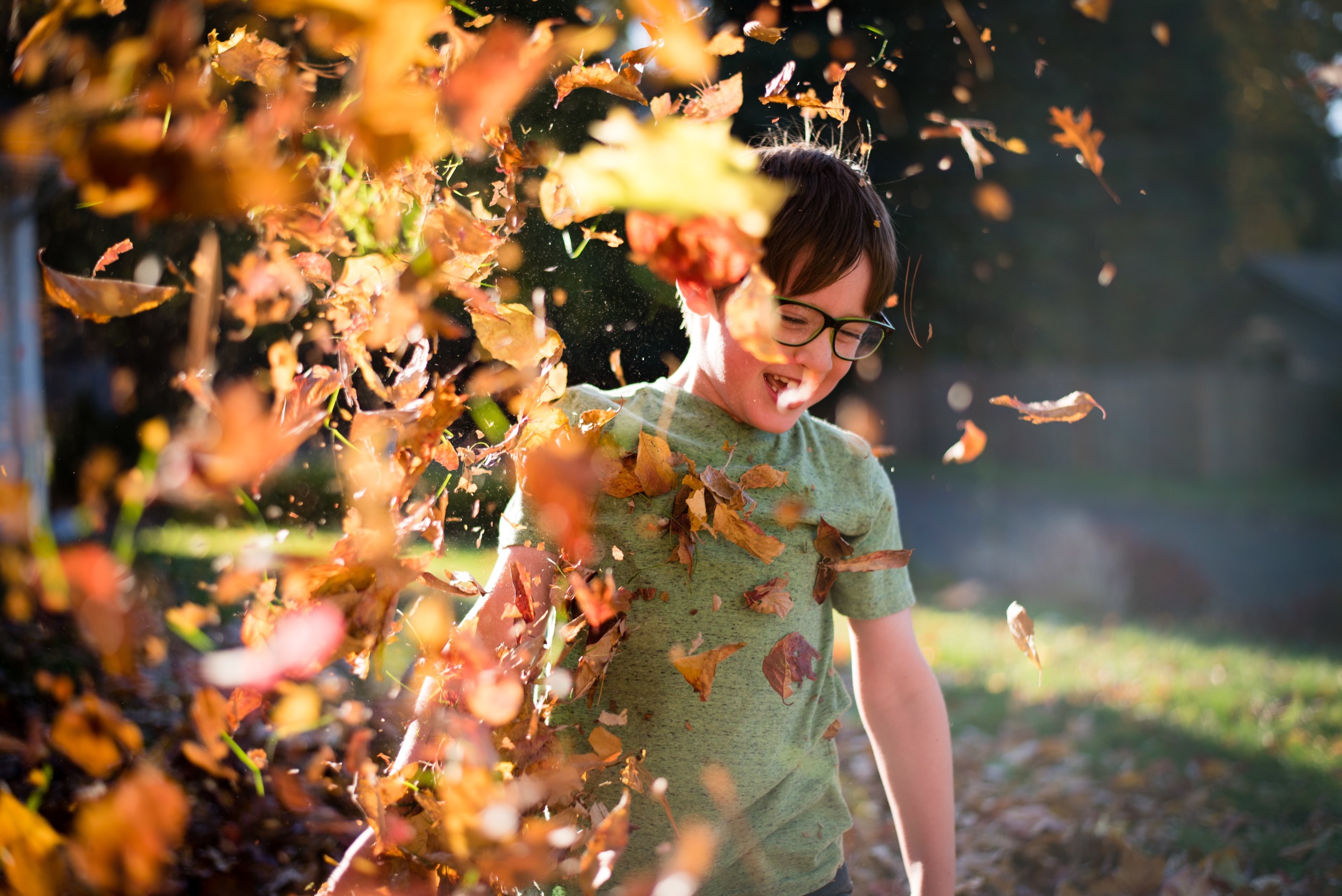 Young boy playing in fall leaves